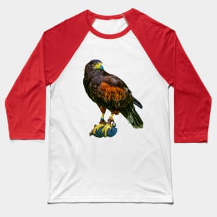 Harris Hawk Baseball T-Shirt